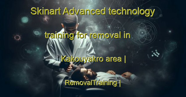 Skinart Advanced technology training for removal in Kakouyakro area | RemovalTraining | RemovalClasses | SkinartTraining-Côte d Ivoire